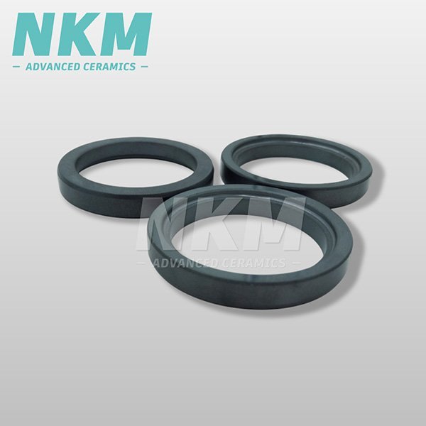 Silicon Carbide Seal