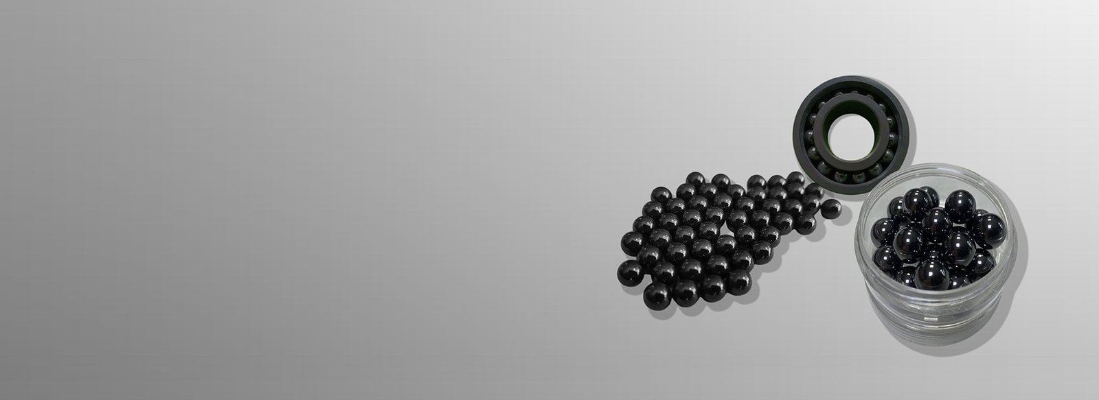 Silicon Carbide Bearing