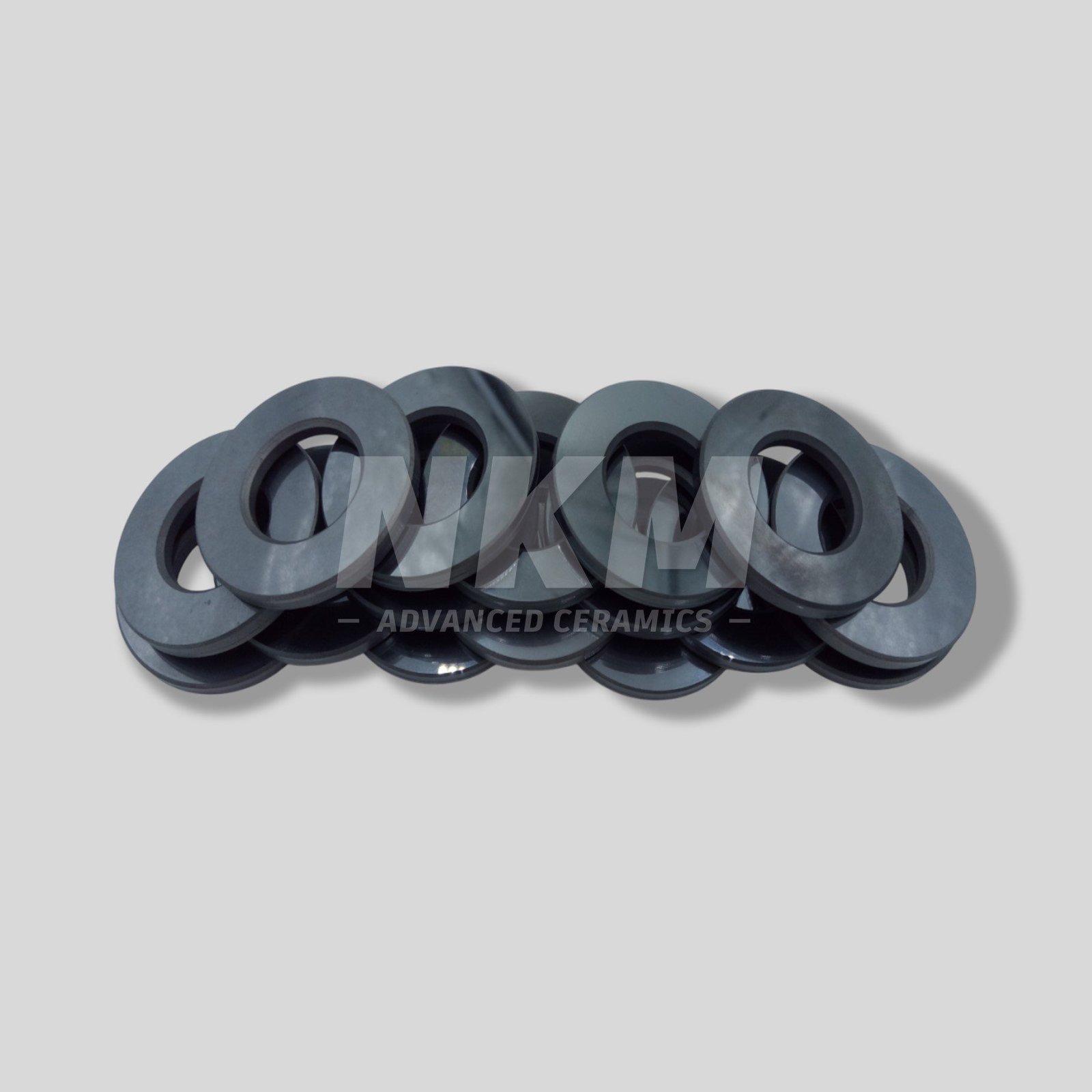 Silicon Carbide Oil Seal