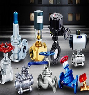 Pumps and Valves